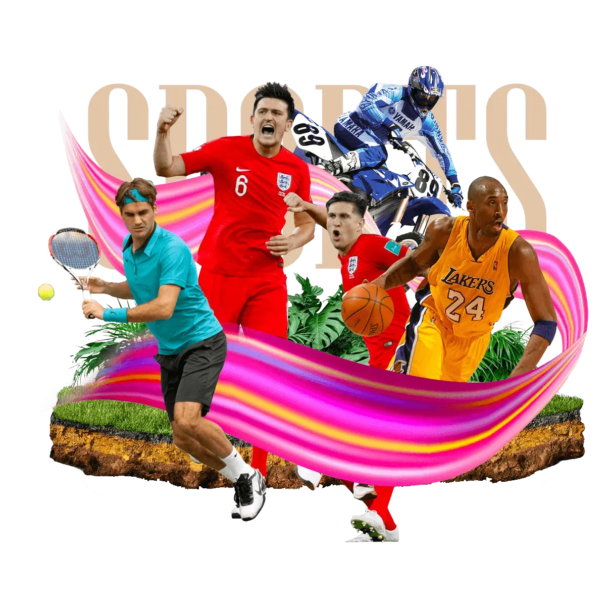 杏彩体育体育赛事